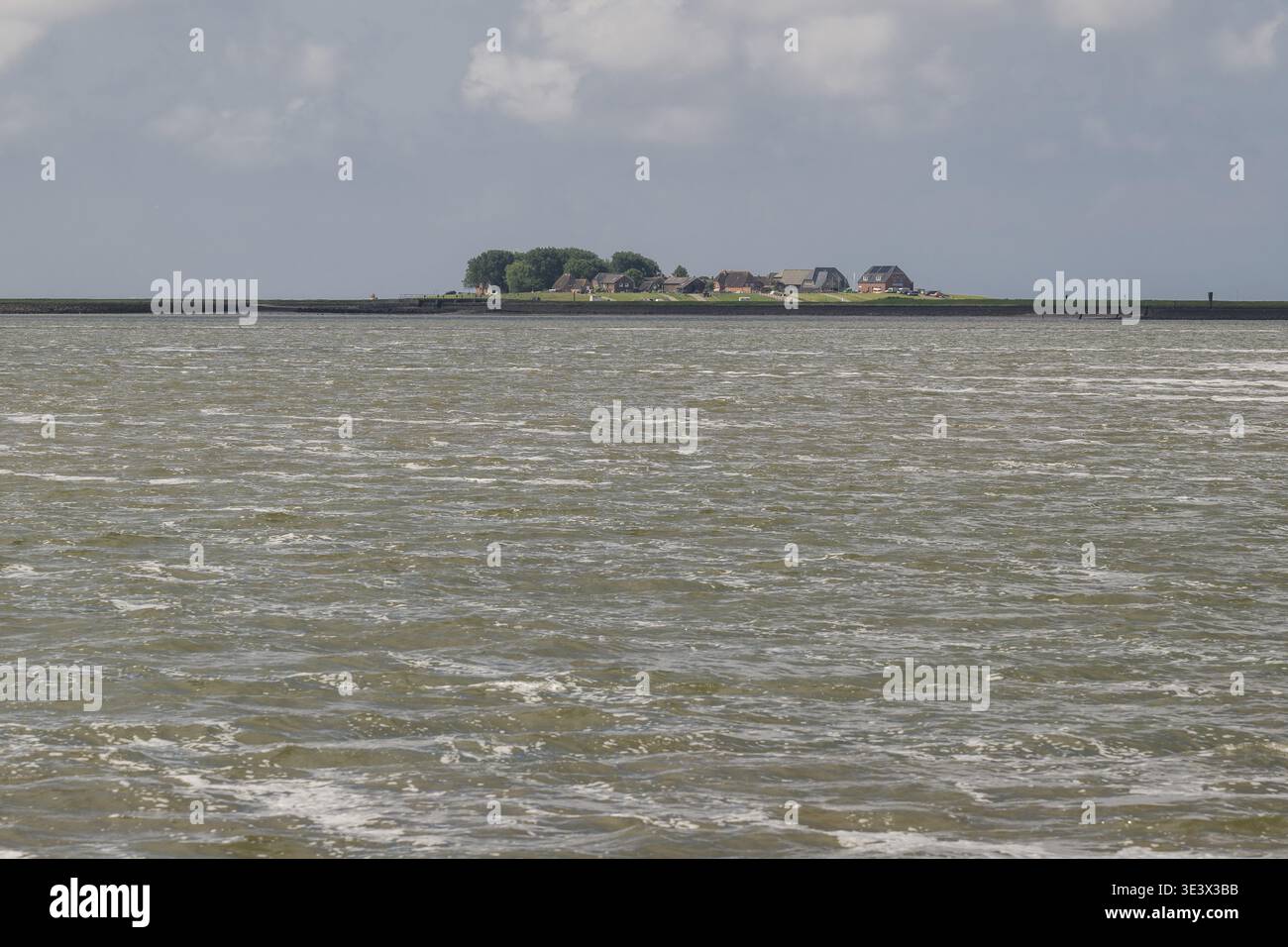 Häuser auf einem Hallig, Nordfriesland, Schleswig-Holstein, Deutschland Stockfoto