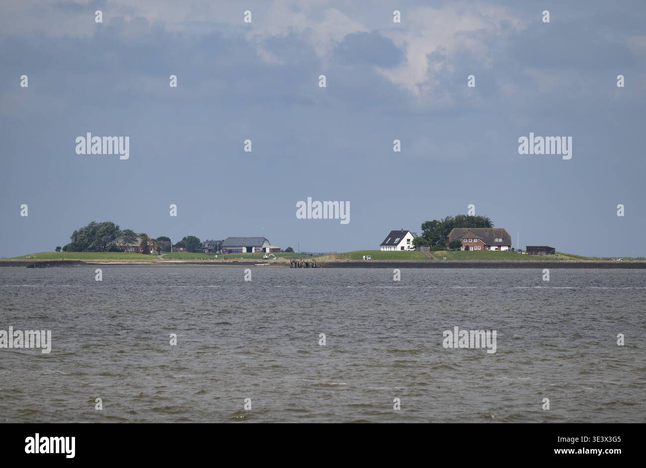 Hallig, Nordfriesland, Schleswig-Holstein, Deutschland Stockfoto