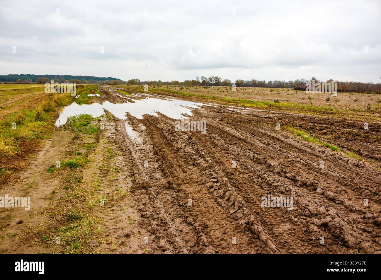 Schwierige, schlammige, unbefestigte Straße mit tiefen Spurrillen und Pfützen, die sich durch ländliche Felder unter einem düsteren Herbsthimmel erstrecken, perfekt für Off-Road-Abenteuer Stockfoto