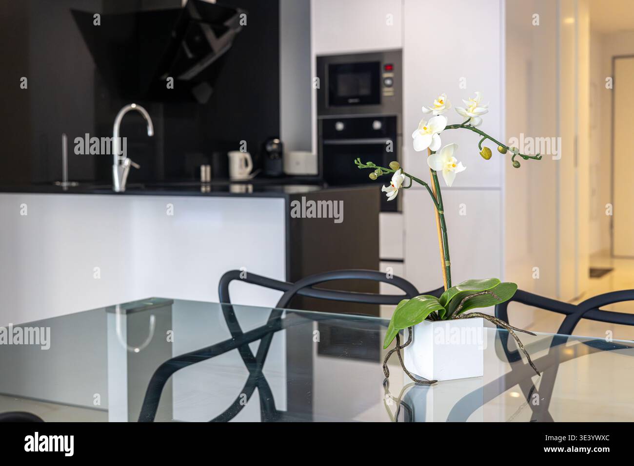 Stilvoller Essbereich mit Glastisch, Orchideen-Herzstück und moderner Küche mit eingebauten Geräten in einer sauberen Inneneinrichtung Stockfoto