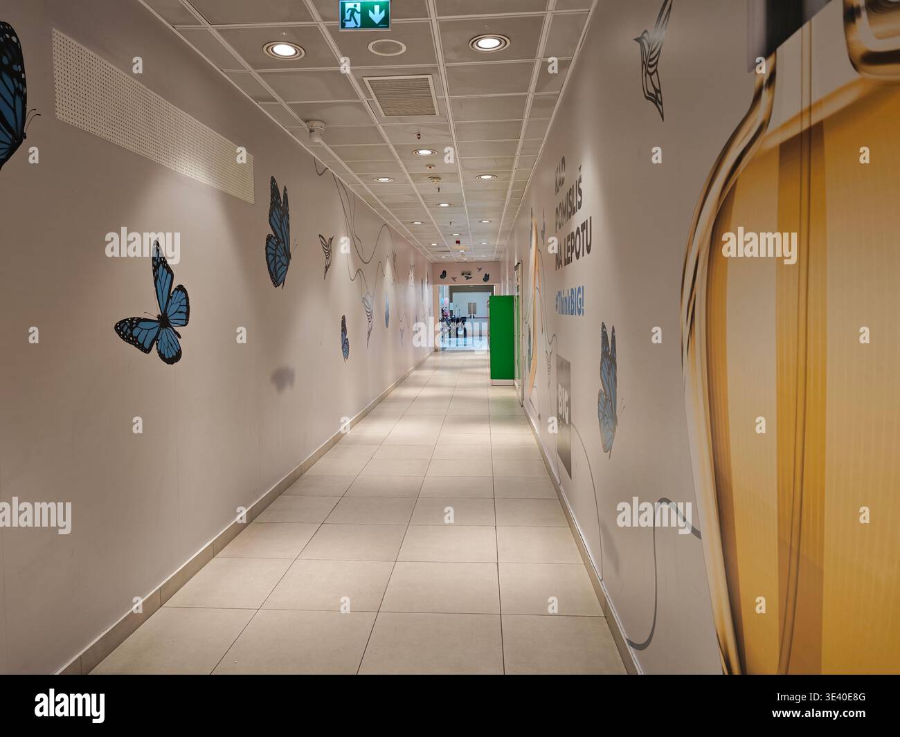 Kada Pomislis Lepotu Thinkbig Bright Butterfly Corridor Stockfoto
