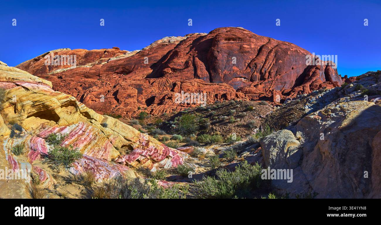 Red Sandstone Cliffs Bunte Banded Rocks und Wüstenvegetation unter blauem Himmel Stockfoto