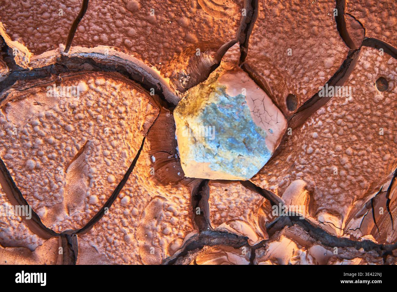 Mud-Textur in der „Cracked Desert“ mit farbenfrohem Stein und sonnendurchflutetem Oberflächendetail Stockfoto