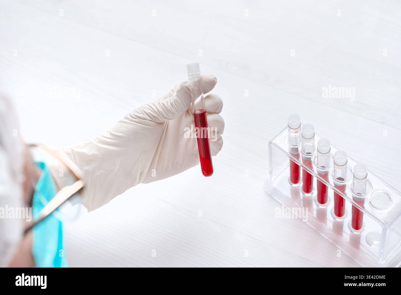 Mit Handschuhen gefülltes Teströhrchen in der Nähe des Gestells, Labordiagnostik und medizinisches Forschungskonzept mit klarem klinischem Hintergrund Stockfoto