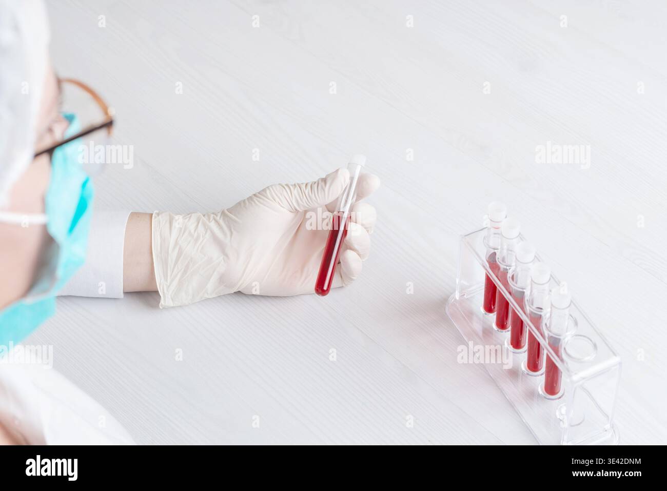Draufsicht des medizinischen Fachpersonals mit Handschuhen, der Blutprobe in der Nähe des Reagenzglasgestell hält, Laborabläufe und klinische Testeinstellungen Stockfoto