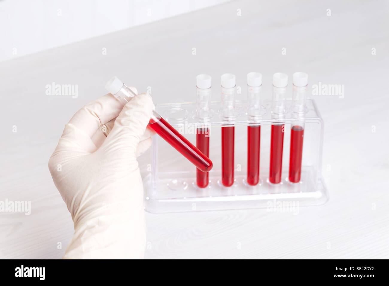 Nahaufnahme der Hand im Labor, die Blutprobe in der Nähe des Racks hält, wissenschaftliche Forschung und medizinisches Testkonzept auf hellem klinischen Hintergrund Stockfoto
