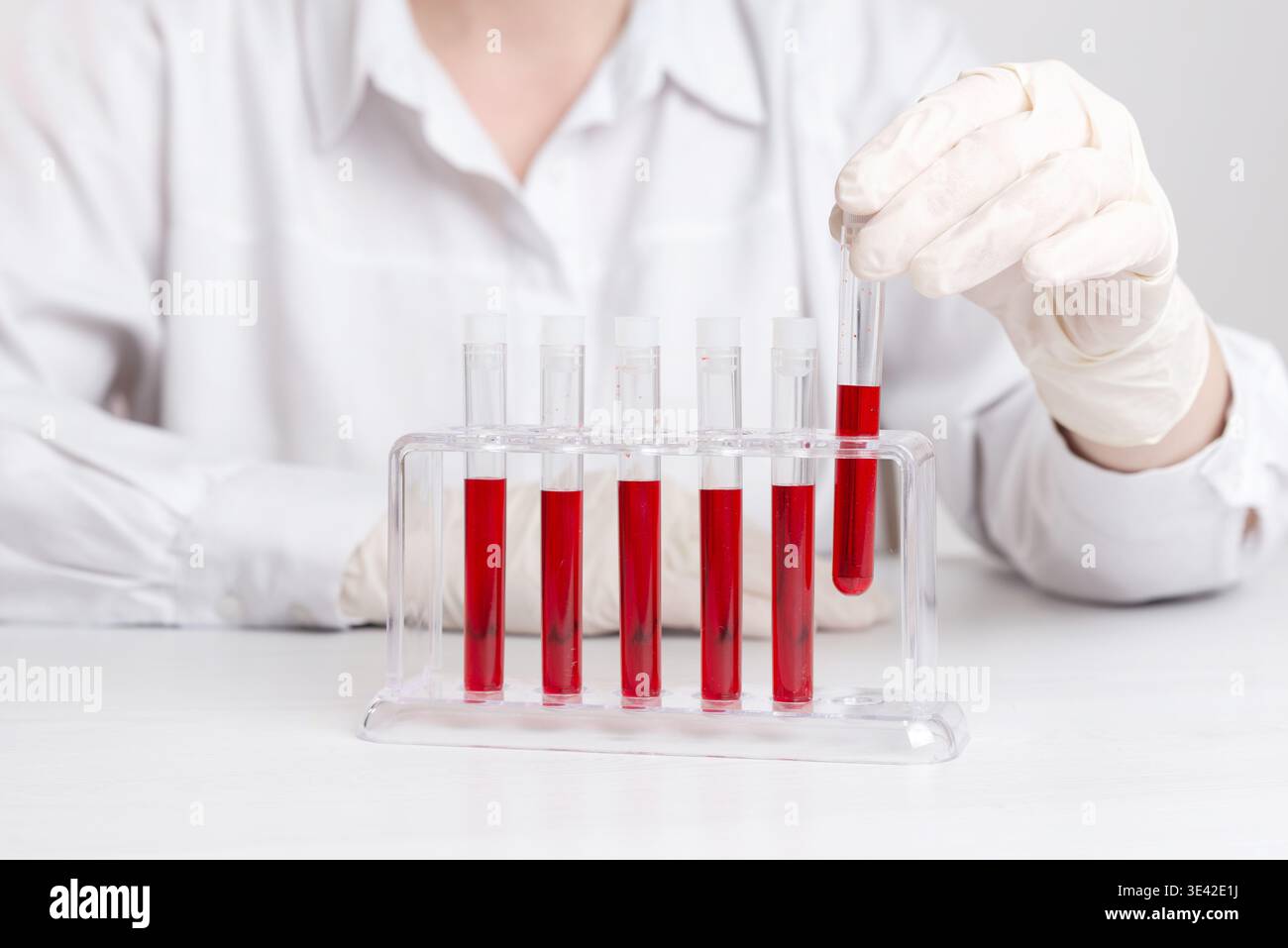 Labortechniker, der die Blutprobe in den Reagenzglashalter legt, klinische Analysen und wissenschaftliche Testverfahren in steriler Umgebung Stockfoto