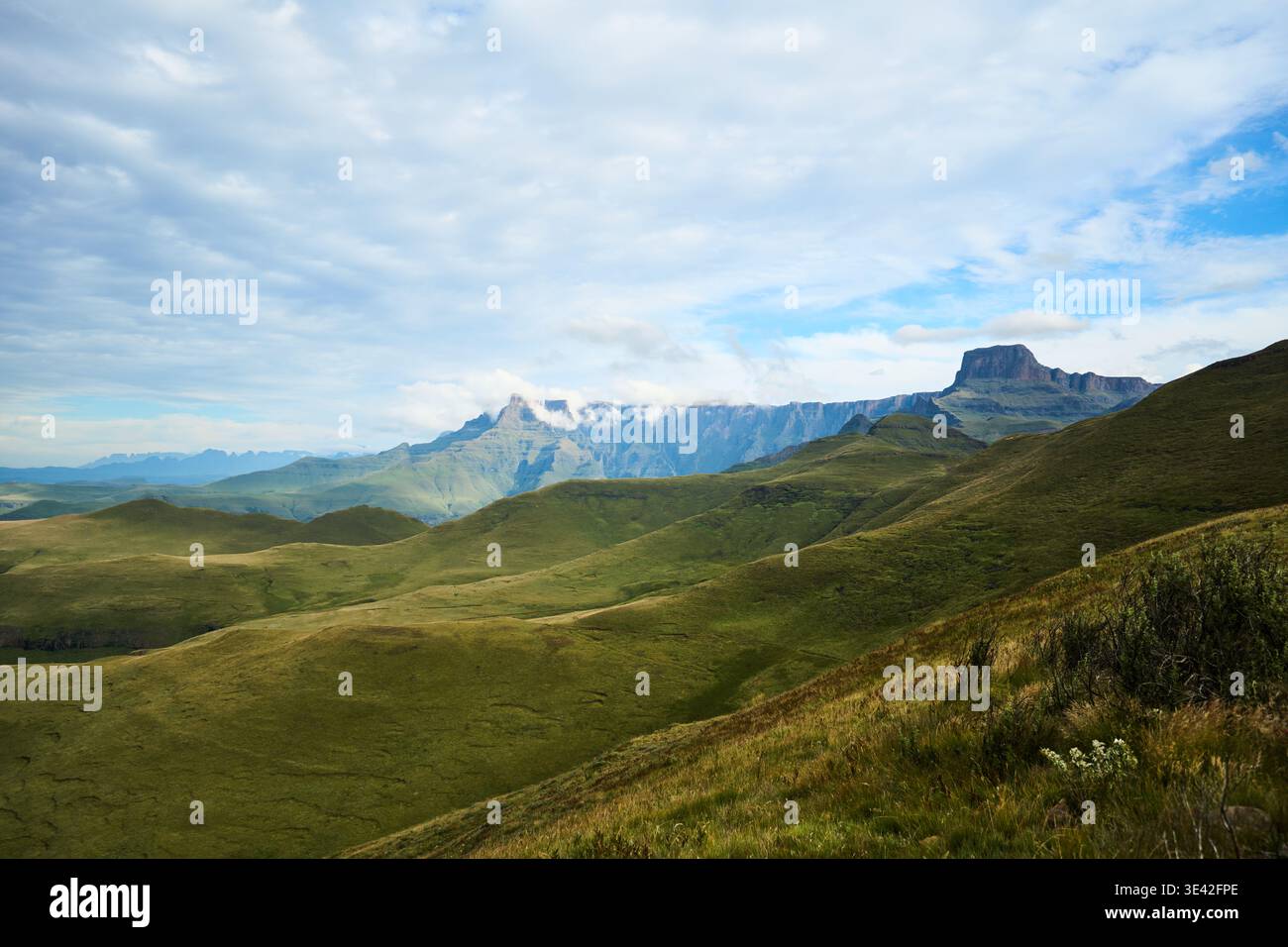Schneebedeckter Gipfel über weitläufige, üppige Felder mit trüben Wolken Stockfoto