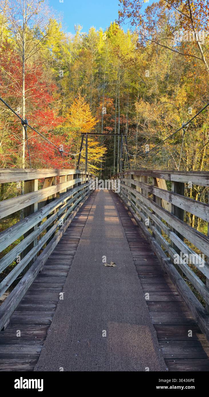 Hölzerne Hängebrücke führt durch einen Wald mit lebhaftem Herbstlaub in Georgia, USA. Malerische Landschaft im Freien mit bunten Bäumen und Jahreszeit - Smartphone-aufgenommenes Stockfoto