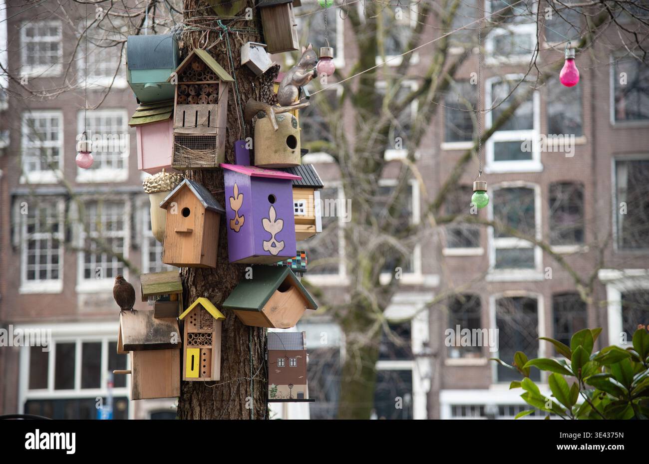 Verschiedene Vogelhäuser stehen auf einem Baum in einer Stadt. Städtische Umgebung zeigt Gebäude im Hintergrund. Vogelnester aus Holz Stockfoto