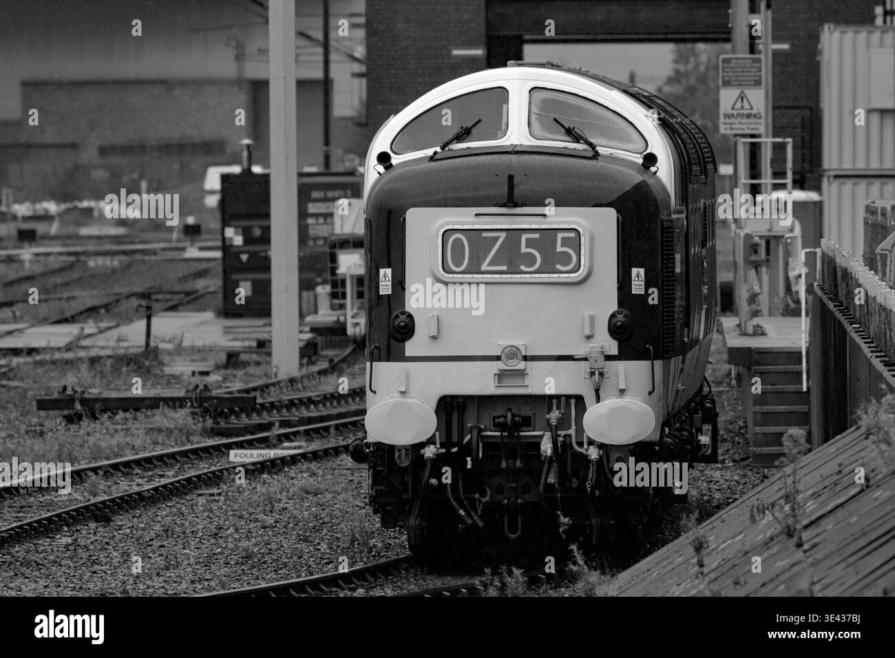 Royal Scots Grey im Newcastle Heaton Depot für den Heaton Tag der offenen Tür Stockfoto