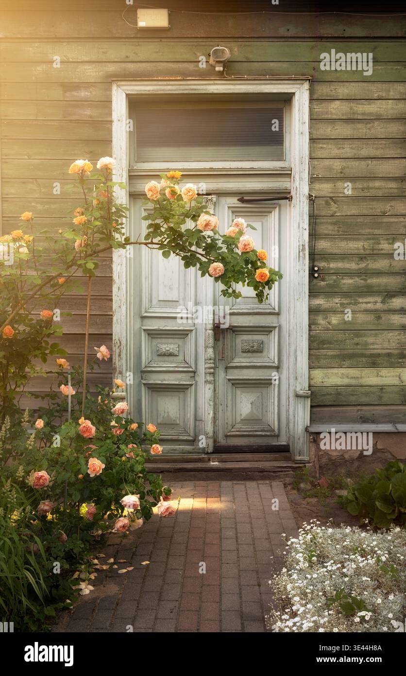 Schöne Vintage Holz Doppeltür eines alten grünen Hauses, eingerahmt von blühenden rosa Rosen an einem sonnigen Sommertag in Lettland Stockfoto