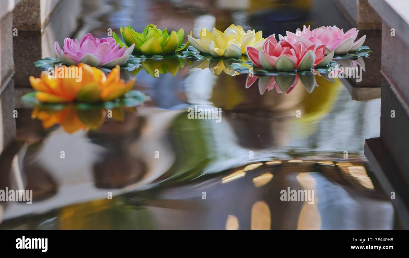 Bunte künstliche Lotusblüten, die in einer Reihe auf plätscherndem Wasser mit ruhigen Reflexen schweben Stockfoto