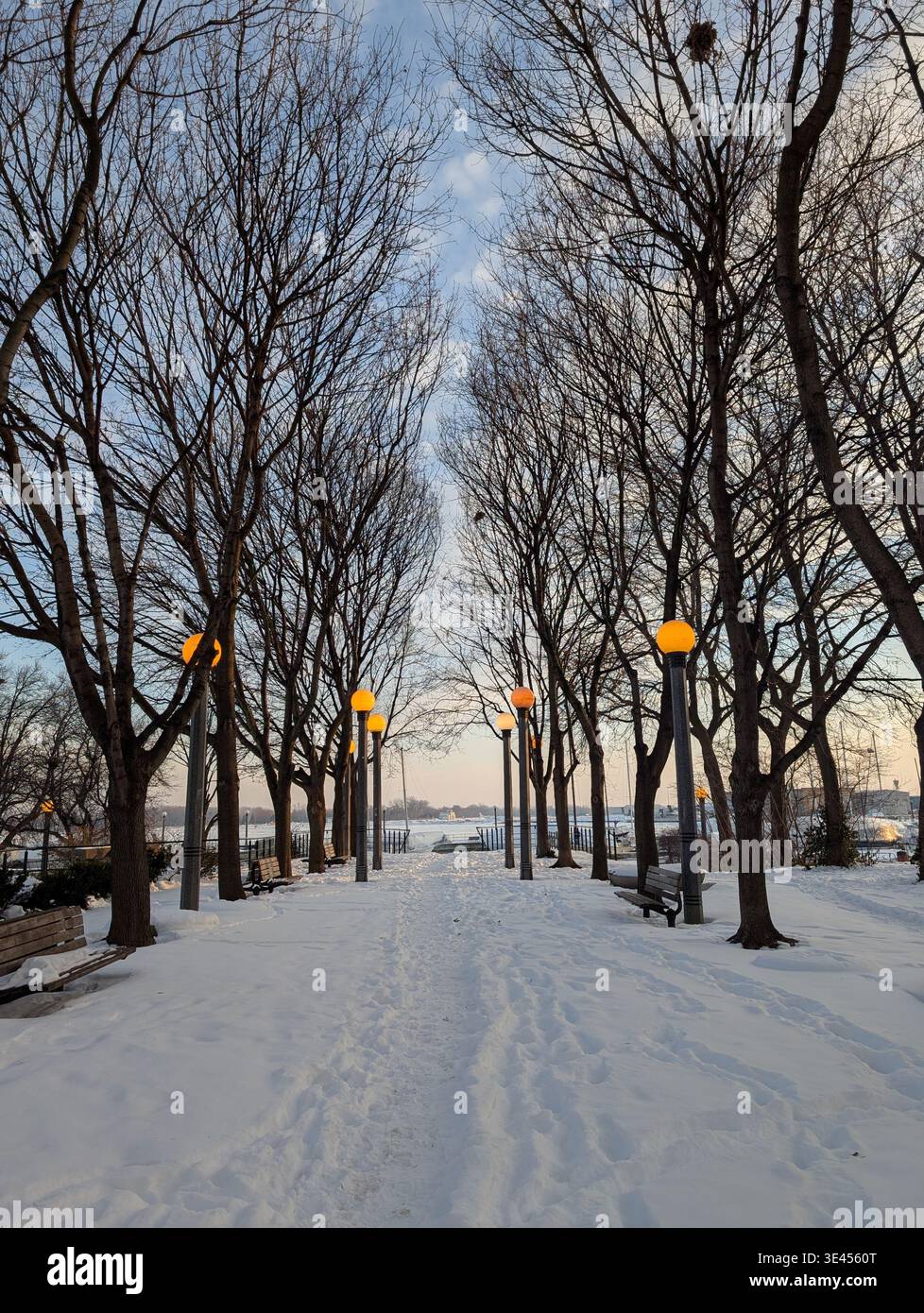 Toronto Downtown im Winter - moderne Gebäude, Geschäftsviertel, fast leere Straßen, Schnee überall, Toronto, Ontario, Kanada - Smartphone-aufgenommenes Stockfoto