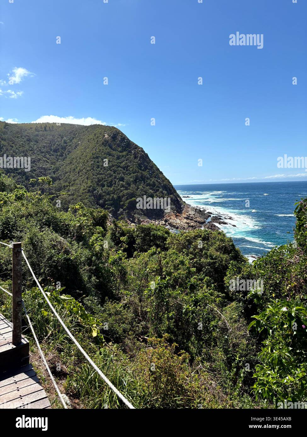 Üppig bewaldete Landzunge trifft auf den Indischen Ozean auf der Garden Route Südafrika - Smartphone-aufgenommenes Stockfoto
