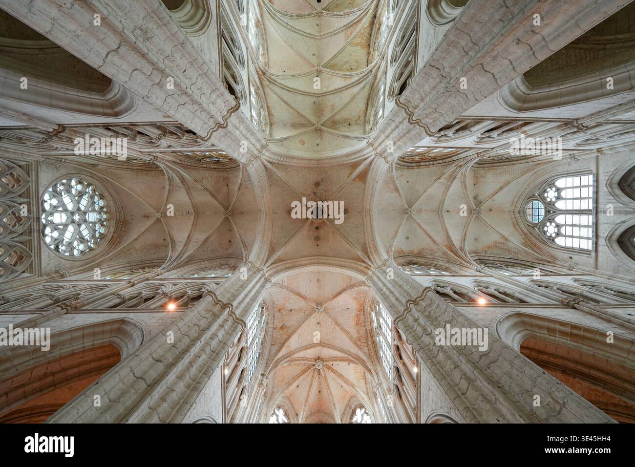 Symmetrische Ansicht der gotischen Rippengewölbe in der Abtei Saint-Germain in Auxerre, Burgund, Frankreich Stockfoto
