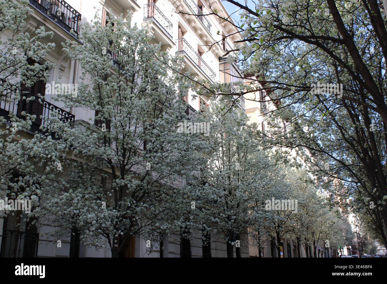 Paisaje en madrid Stockfoto