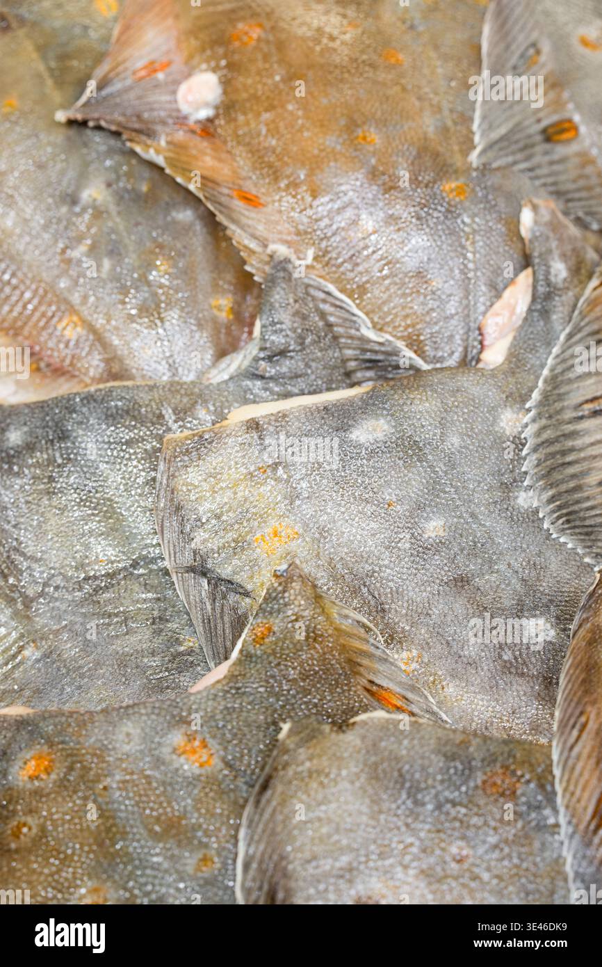 Frischer roher Flunderfisch Hintergrund. Nahaufnahme von Plattfischhaut mit Orangenflecken. Stockfoto