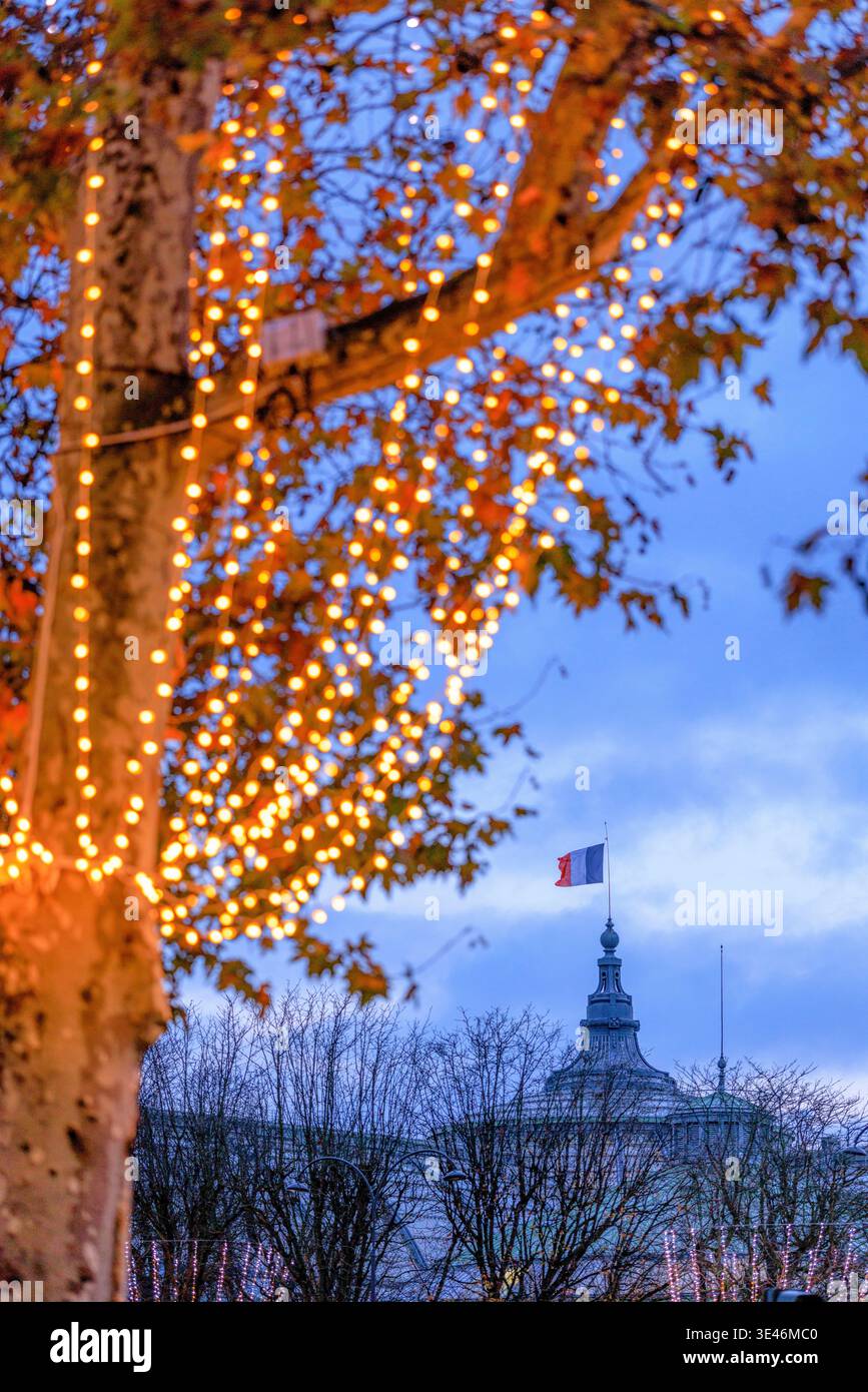 Frankreich, Paris, die Champs elysées, Weihnachtsbeleuchtung von Blachere Illumination, das Grand Palais im Hintergrund Stockfoto