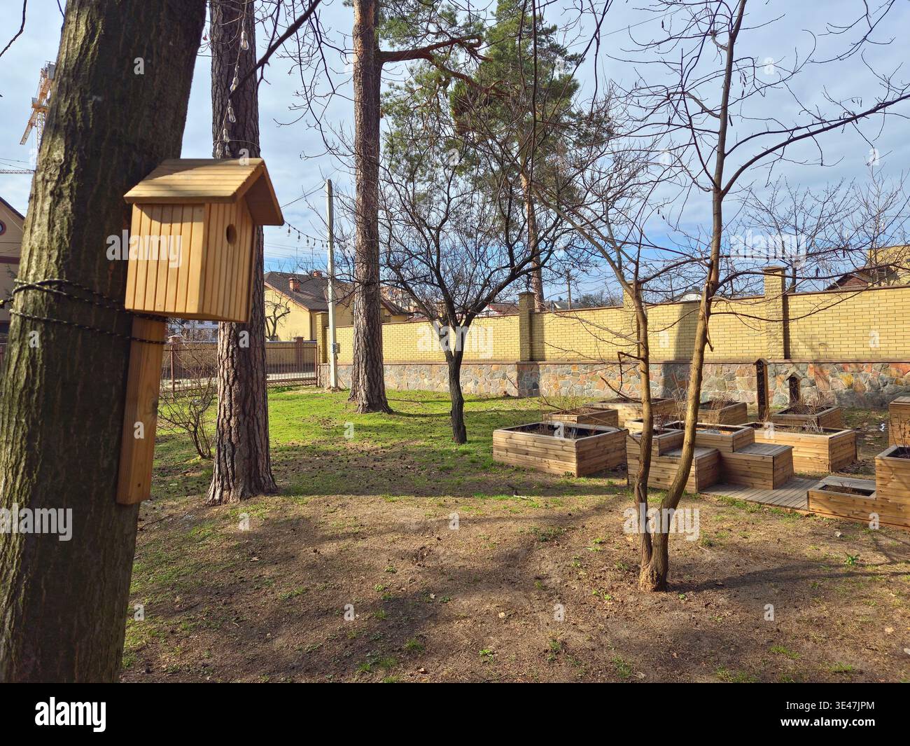 Vogelhaus auf Baum in der Nähe von Schulgartenbeeten in nachhaltigem Bildungsumfeld - Smartphone-aufgenommenes Stockfoto
