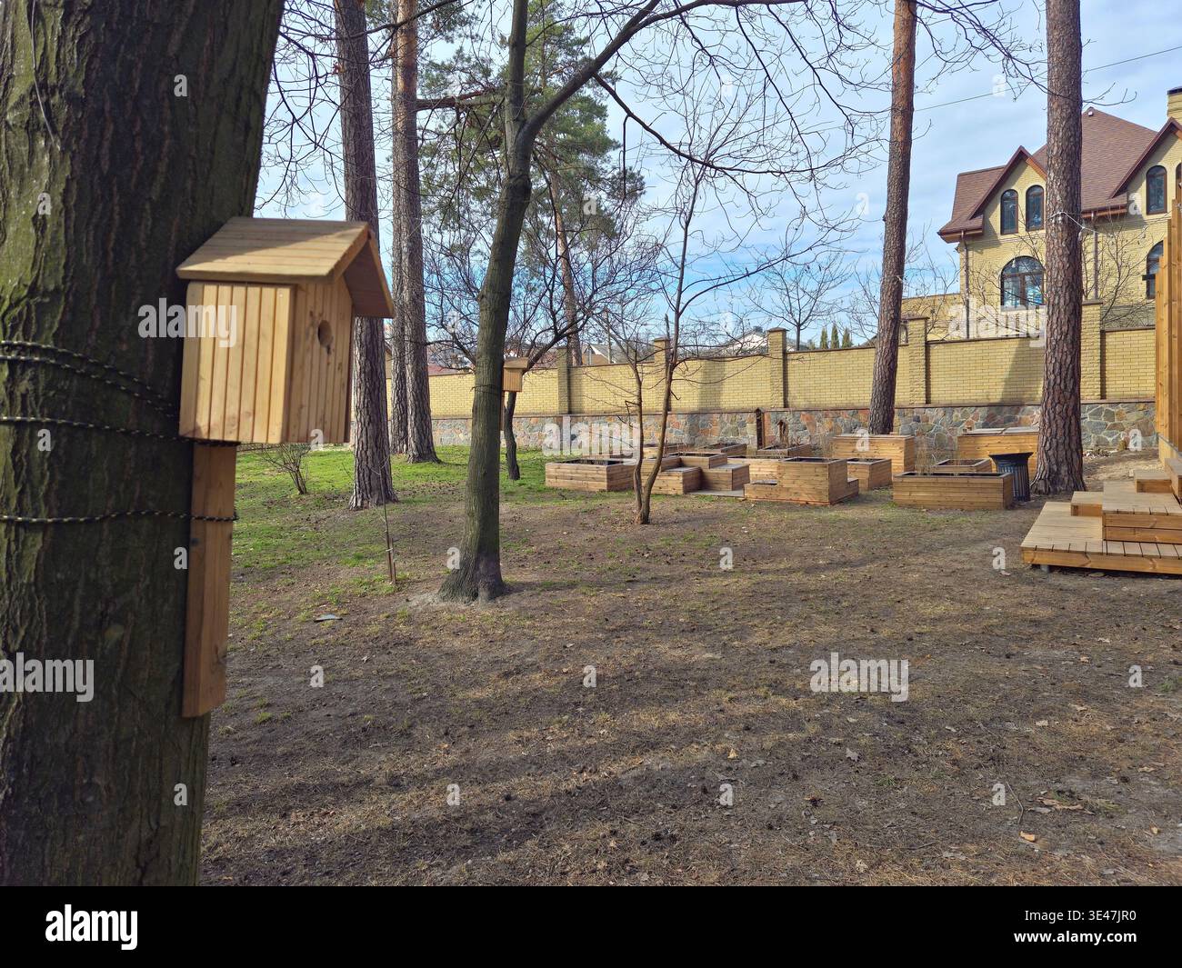 Vogelhaus auf Baum in der Nähe von Schulgartenbeeten in nachhaltigem Bildungsumfeld - Smartphone-aufgenommenes Stockfoto
