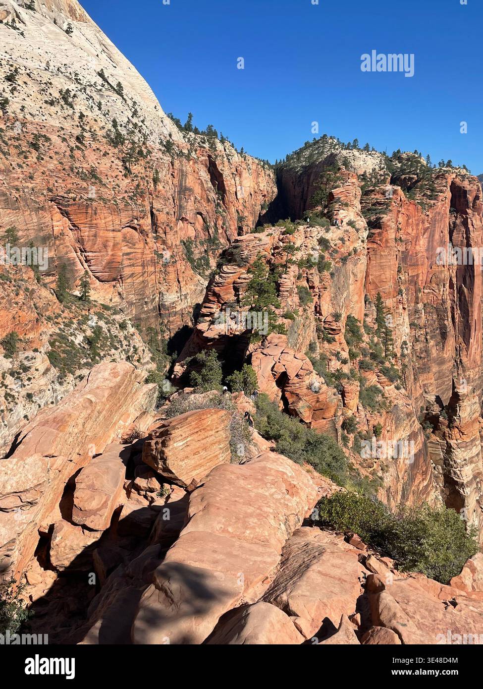 Wandern Sie auf einem schmalen Bergpfad mit Ketten und dramatischen Aussichten auf den Canyon, Angels Landing, Zion National Park, Utah, USA Stockfoto