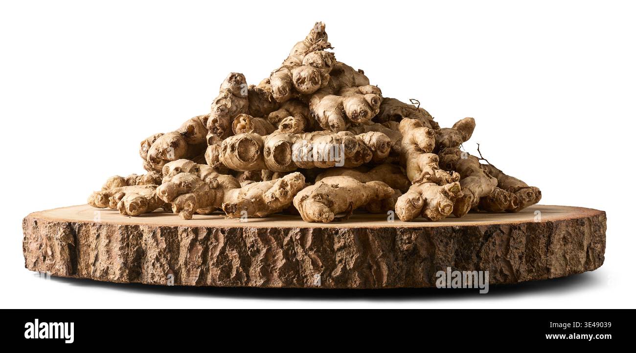 Haufen frischer Ingwerwurzeln auf dicker natürlicher Holzrindenscheibe isolierter weißer Hintergrund, organische Zutaten Seitenansicht Stockfoto