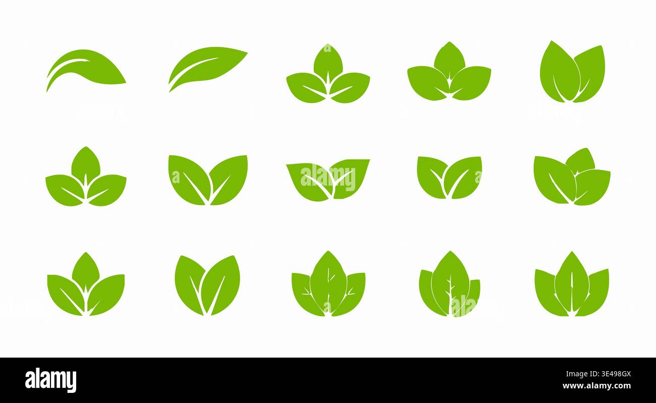 Eine Sammlung von frischen grünen Vektorgrafiken, die perfekt für umweltfreundliche Naturdesigns und Bio-Branding geeignet sind. Stock Vektor