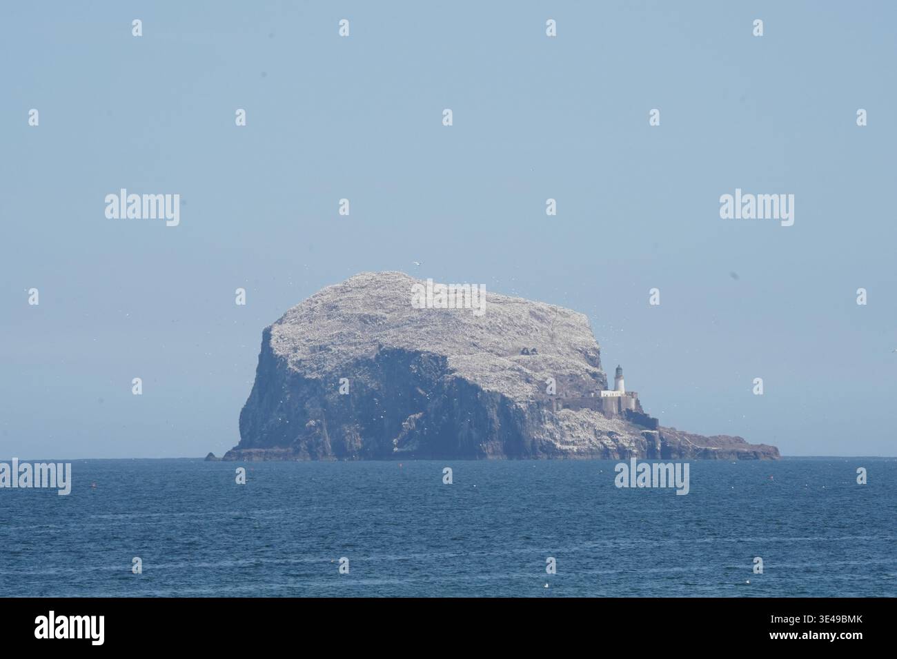 Bass Rock Vulkaninsel und Leuchtturm im Firth of Forth, Heimat der weltweit größten Kolonie von Nördlichen Tölpeln, East Lothian, Schottland Stockfoto