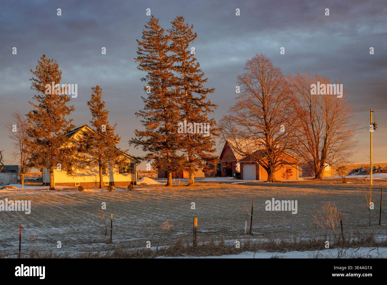 Williams, Iowa. Gepflegter Bauernhof mit riesigen Bäumen bei Sonnenuntergang der 'goldenen Stunde' im Winter. Stockfoto