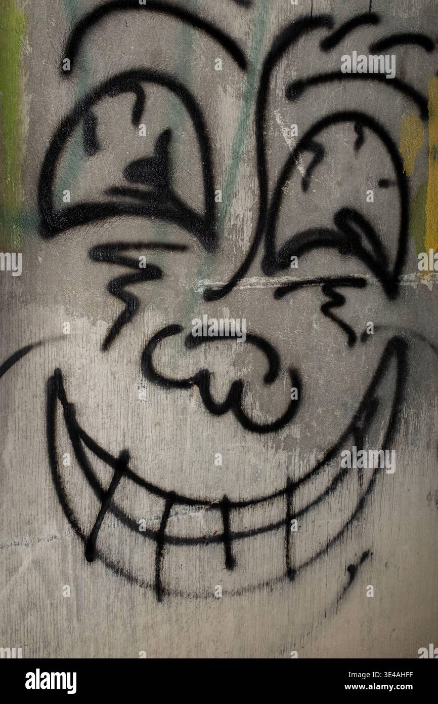 Graffiti im „Hell's Gate Tunnel“ Albuquerque, New Mexico Stockfoto