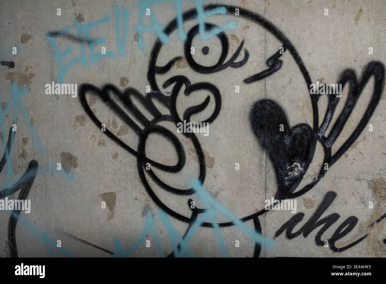Graffiti im „Hell's Gate Tunnel“ Albuquerque, New Mexico Stockfoto
