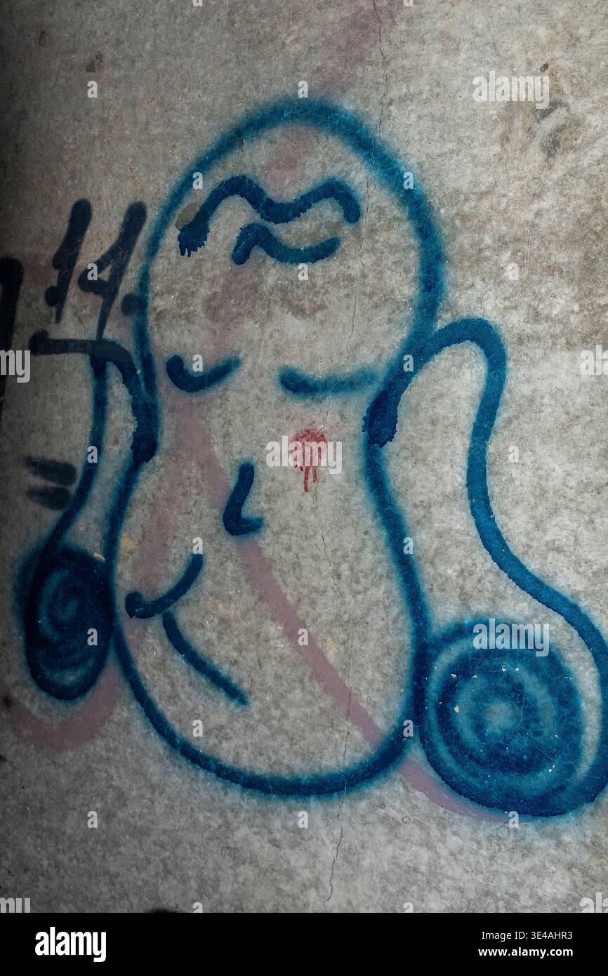 Graffiti im „Hell's Gate Tunnel“ Albuquerque, New Mexico Stockfoto