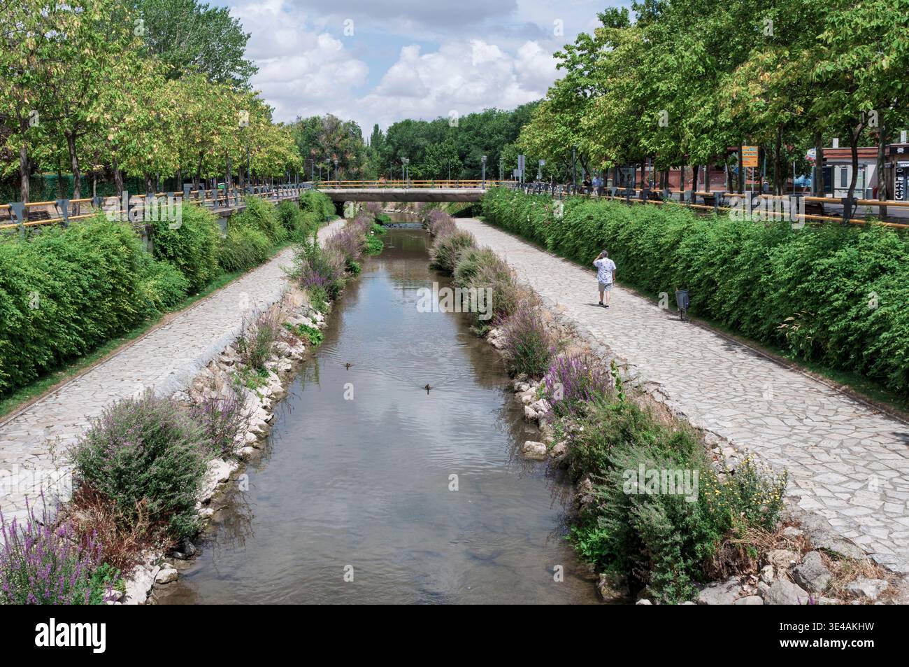 Ein friedlicher Park am Fluss Esgueva in Valladolid, Spanien, mit Steinpfaden, grüner Vegetation und einer Fußgängerbrücke. Stockfoto