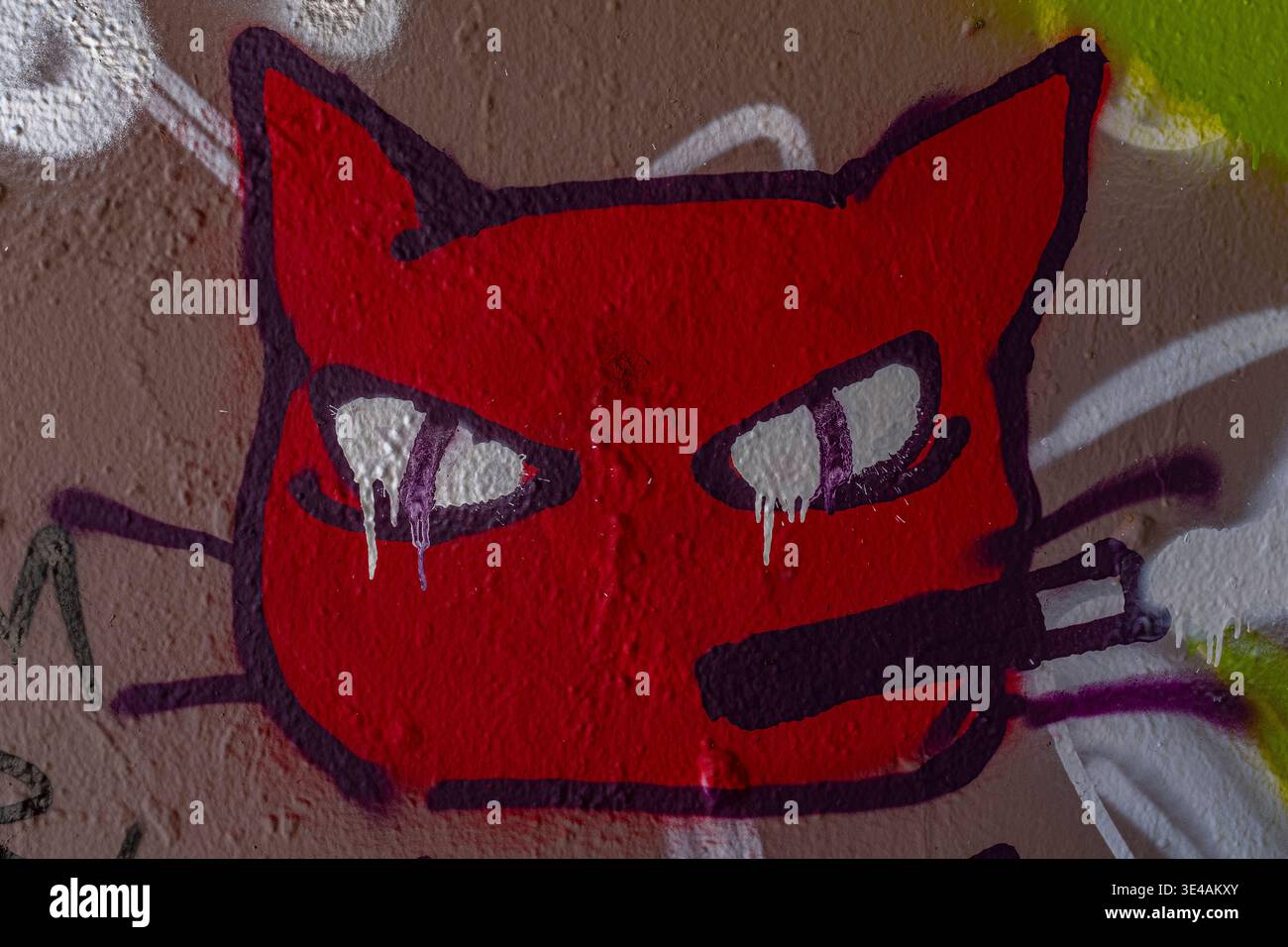 Graffiti im „Hell's Gate Tunnel“ Albuquerque, New Mexico Stockfoto