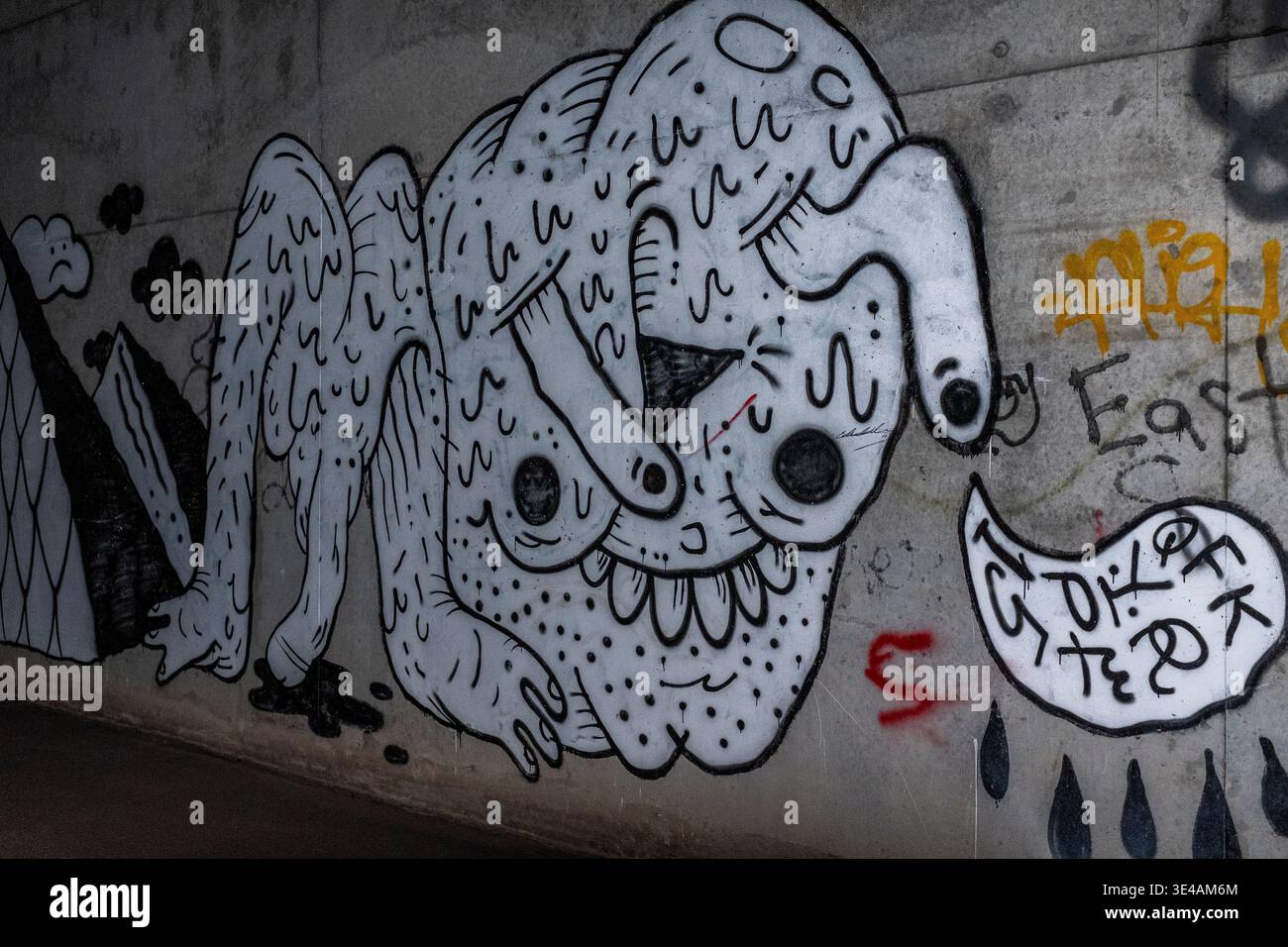 Graffiti im „Hell's Gate Tunnel“ Albuquerque, New Mexico Stockfoto