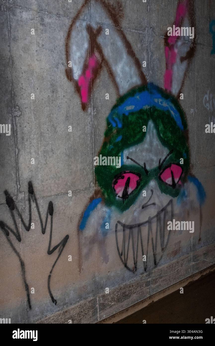 Graffiti im „Hell's Gate Tunnel“ Albuquerque, New Mexico Stockfoto