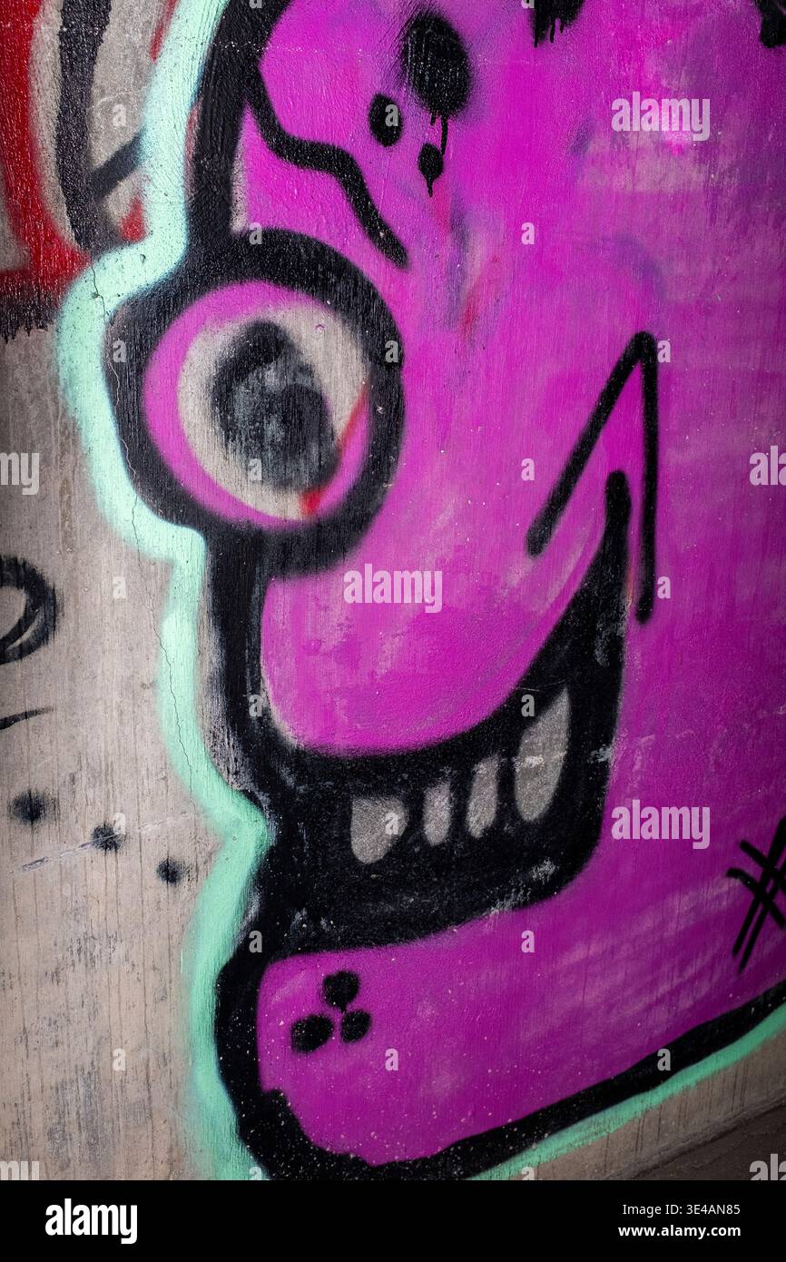 Graffiti im „Hell's Gate Tunnel“ Albuquerque, New Mexico Stockfoto