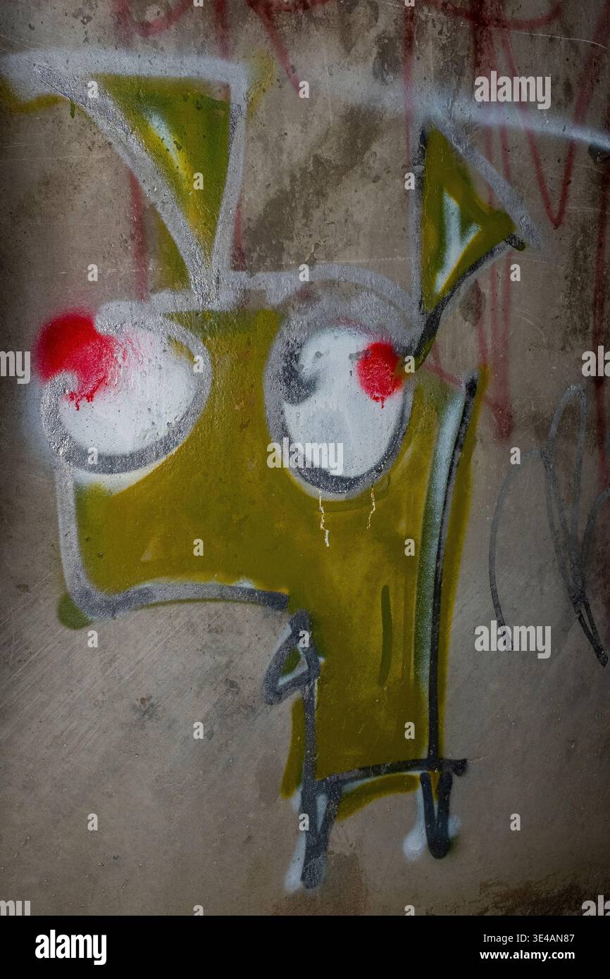 Graffiti im „Hell's Gate Tunnel“ Albuquerque, New Mexico Stockfoto