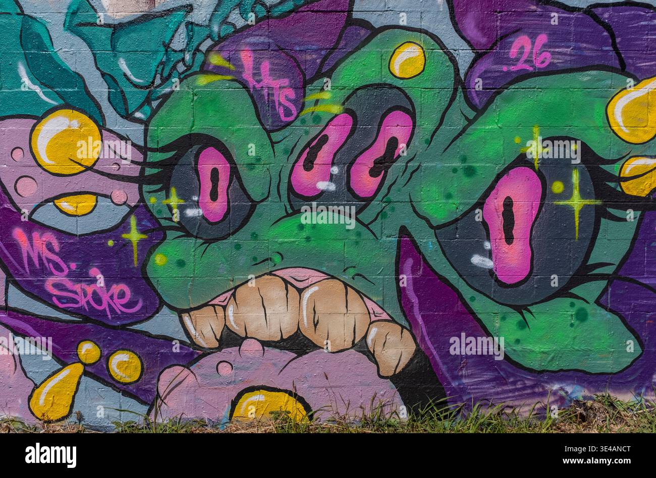 Graffiti im „Hell's Gate Tunnel“ Albuquerque, New Mexico Stockfoto