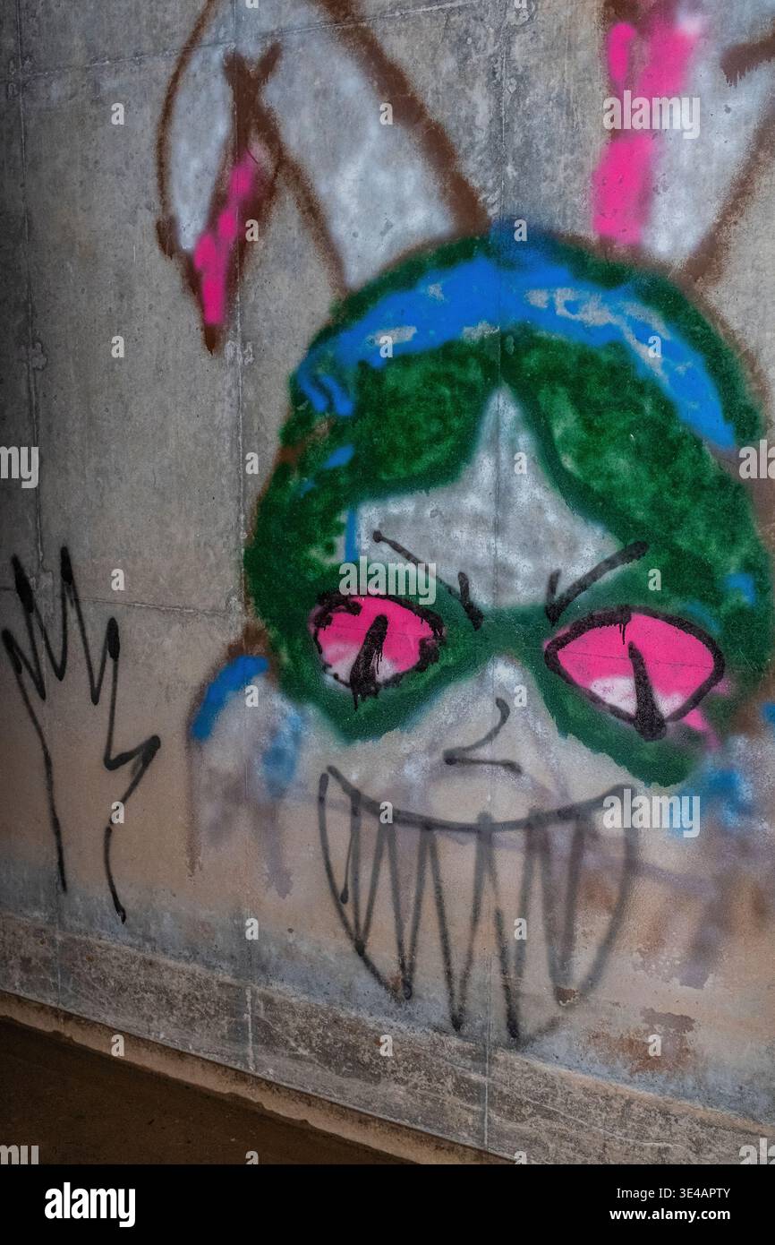 Graffiti im „Hell's Gate Tunnel“ Albuquerque, New Mexico Stockfoto