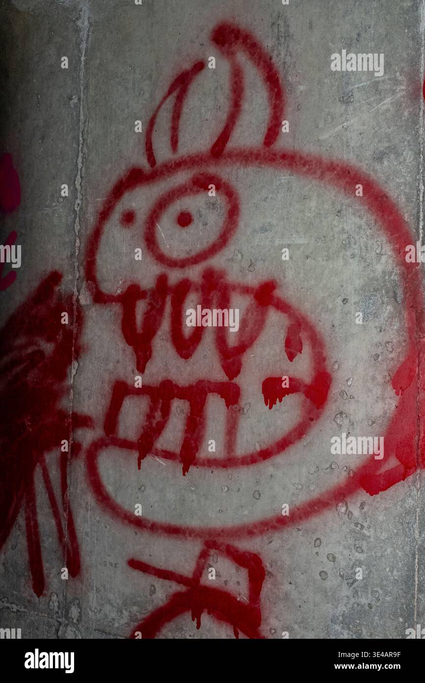 Graffiti im „Hell's Gate Tunnel“ Albuquerque, New Mexico Stockfoto