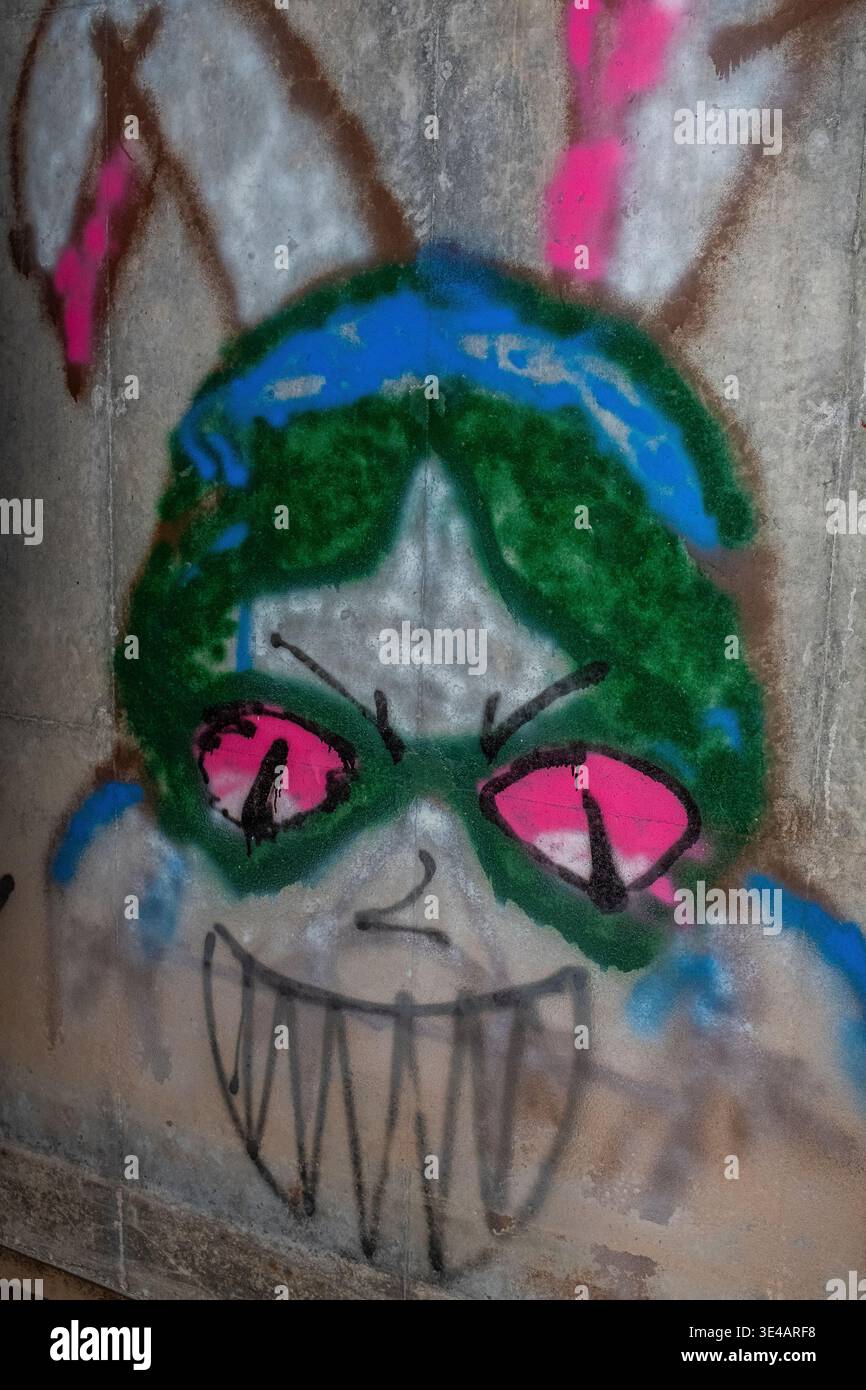 Graffiti im „Hell's Gate Tunnel“ Albuquerque, New Mexico Stockfoto