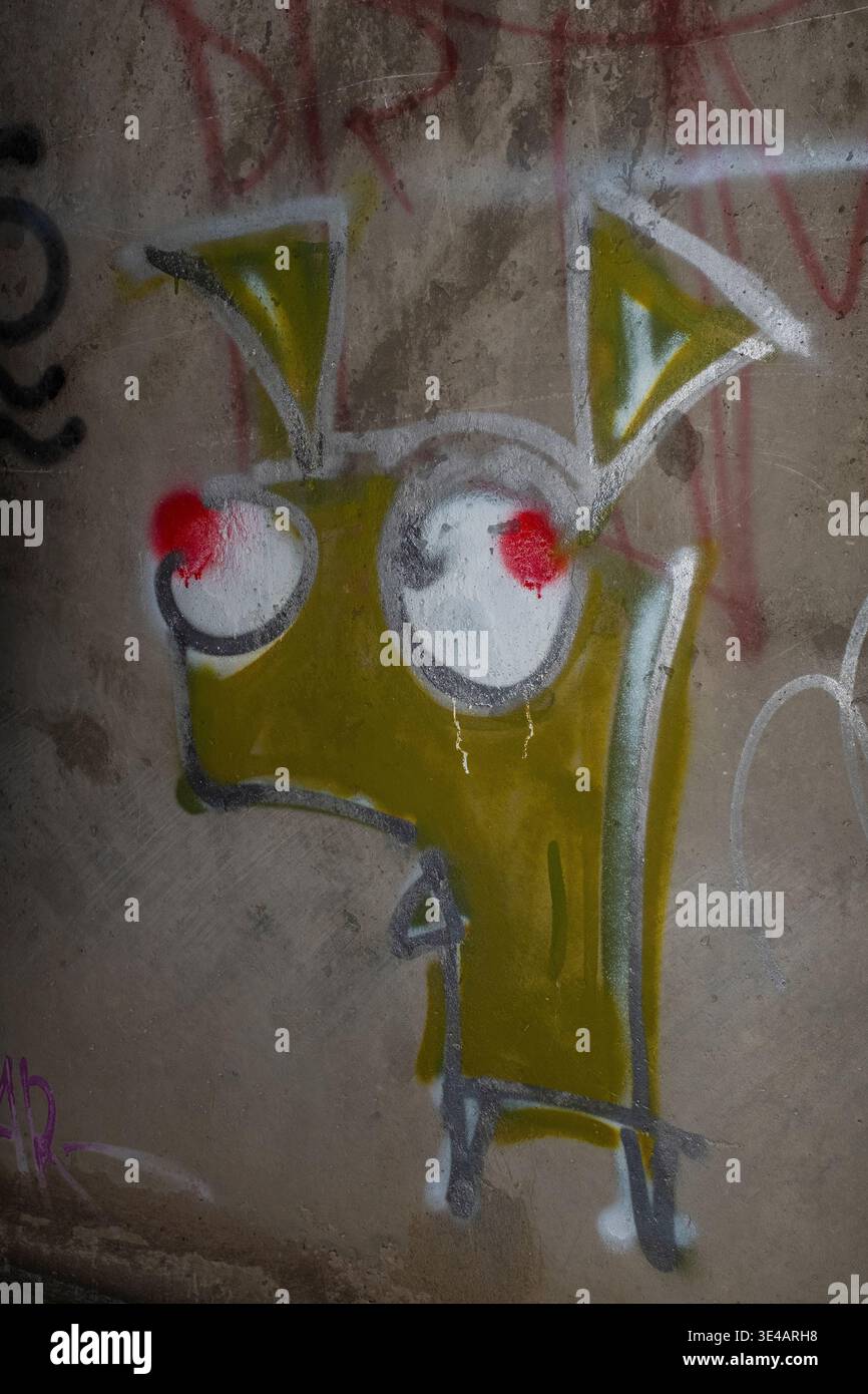 Graffiti im „Hell's Gate Tunnel“ Albuquerque, New Mexico Stockfoto