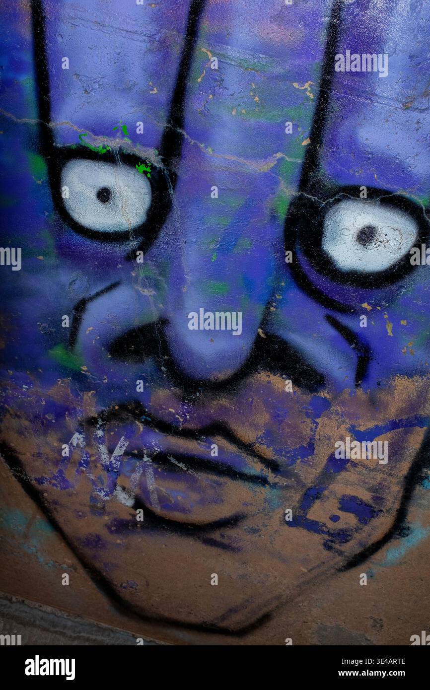 Graffiti im „Hell's Gate Tunnel“ Albuquerque, New Mexico Stockfoto