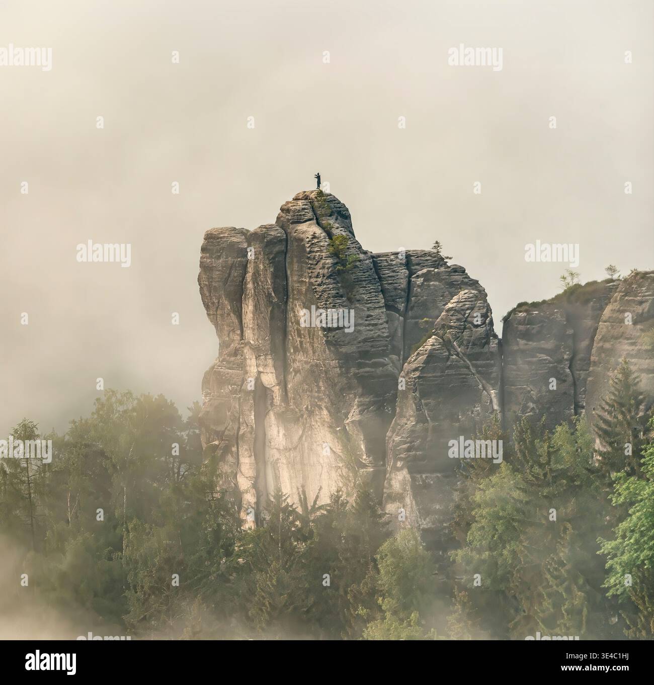 Einsamer Mönchsfelsen im Nationalpark Sächsische Schweiz, Deutschland, dramatische Sandsteinklippen, die sich durch Morgennebel erheben. Stockfoto
