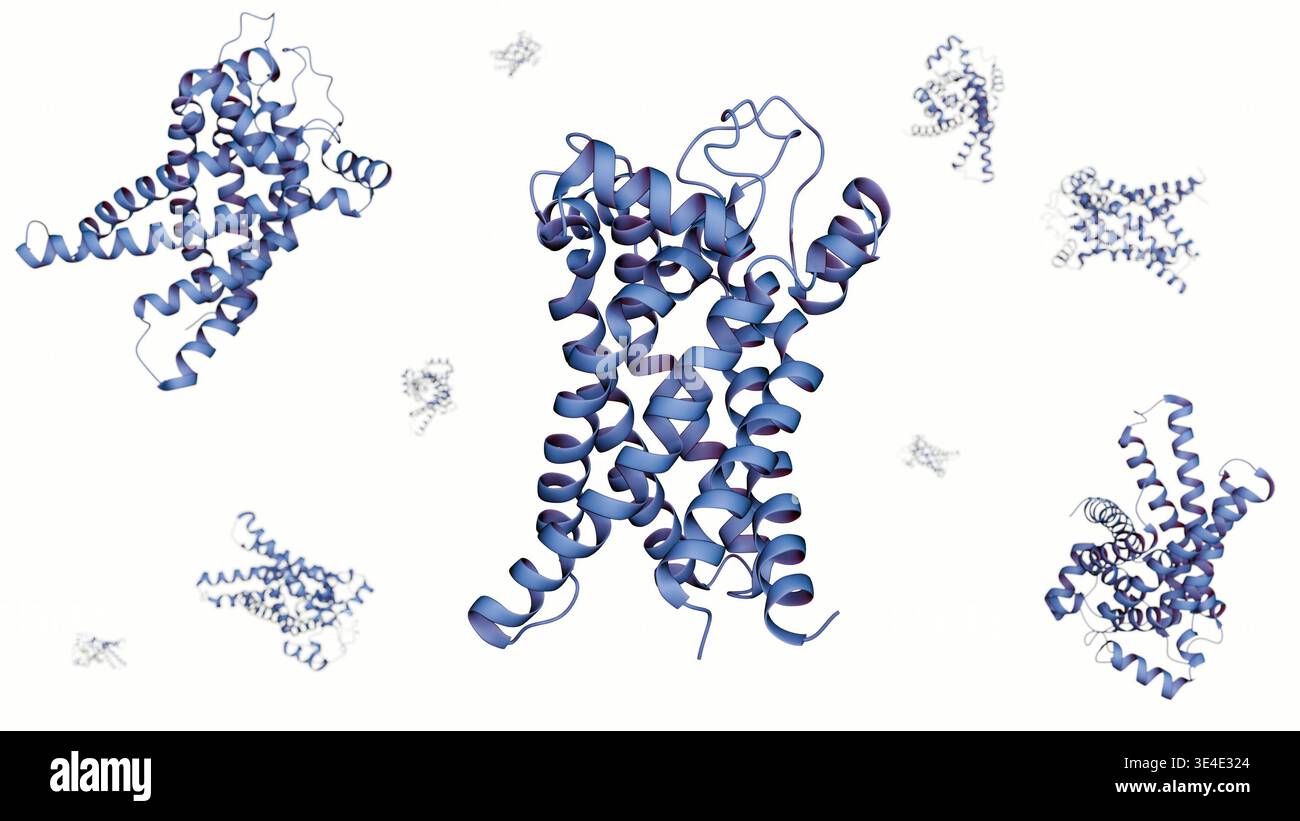 Ein Ribbon-Modell des Alpha-Helix-Proteins, das für die Wärmeproduktion im braunen Fettgewebe und die metabolische Thermogenese verantwortlich ist. Stockfoto