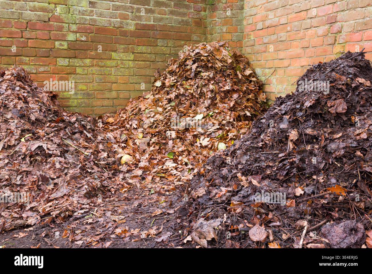 Komposthaufen oder -Haufen, Gartenkompostierung, Großbritannien Stockfoto