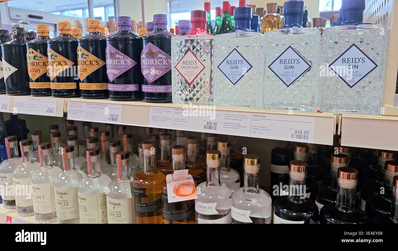 Toronto, ON, Kanada - 26. März 2026: Verschiedene Marken von Gin-Flaschen in einem Regal in einem Geschäft, mit verschiedenen Geschmacksrichtungen und Flaschendesigns zum Verkauf. Stockfoto