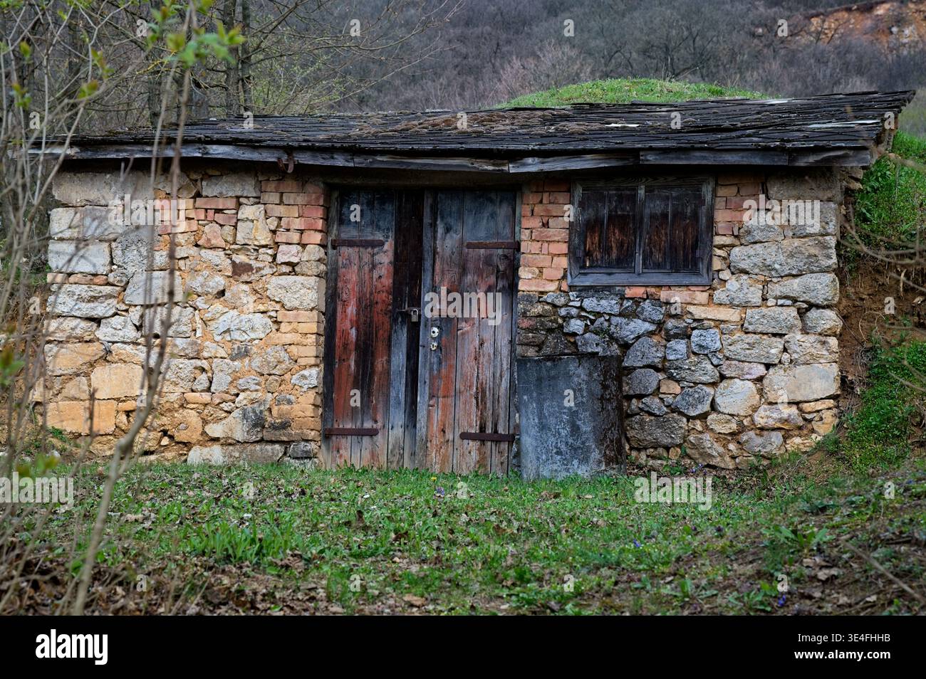 Traditioneller Steinkeller mit Holztüren und einem Schindeldach in einem Hügel nahe Bajot, Ungarn. Rustikale ländliche Architektur im Frühling Stockfoto